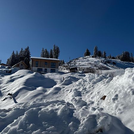 Berglisl - Direkt An Der Schipiste! Neue Ferienwohnung Mit Sauna Klippitztorl Екстер'єр фото
